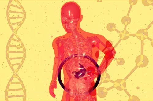 How to Improve Gut Health Naturally