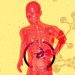 How to Improve Gut Health Naturally