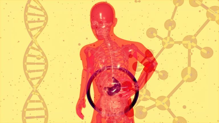 How to Improve Gut Health Naturally