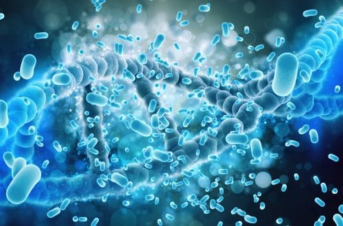Best Foods for a Healthy Gut Microbiome