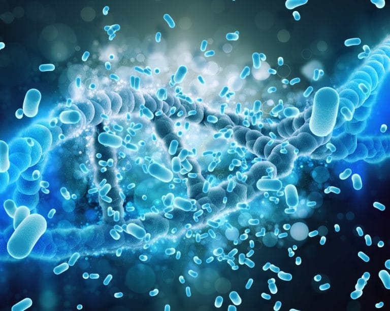 Best Foods for a Healthy Gut Microbiome