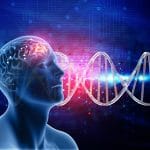 The Gut-Brain Connection: How Digestion Affects Mood and Mental Wellness