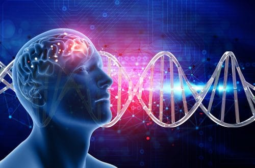 The Gut-Brain Connection How Digestion Affects Mood and Mental Wellness