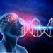 The Gut-Brain Connection How Digestion Affects Mood and Mental Wellness