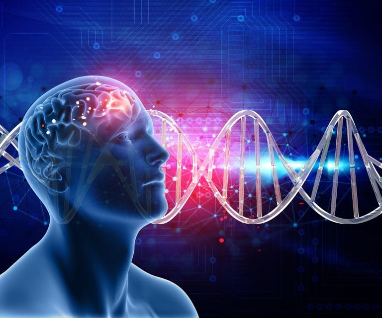 The Gut-Brain Connection How Digestion Affects Mood and Mental Wellness